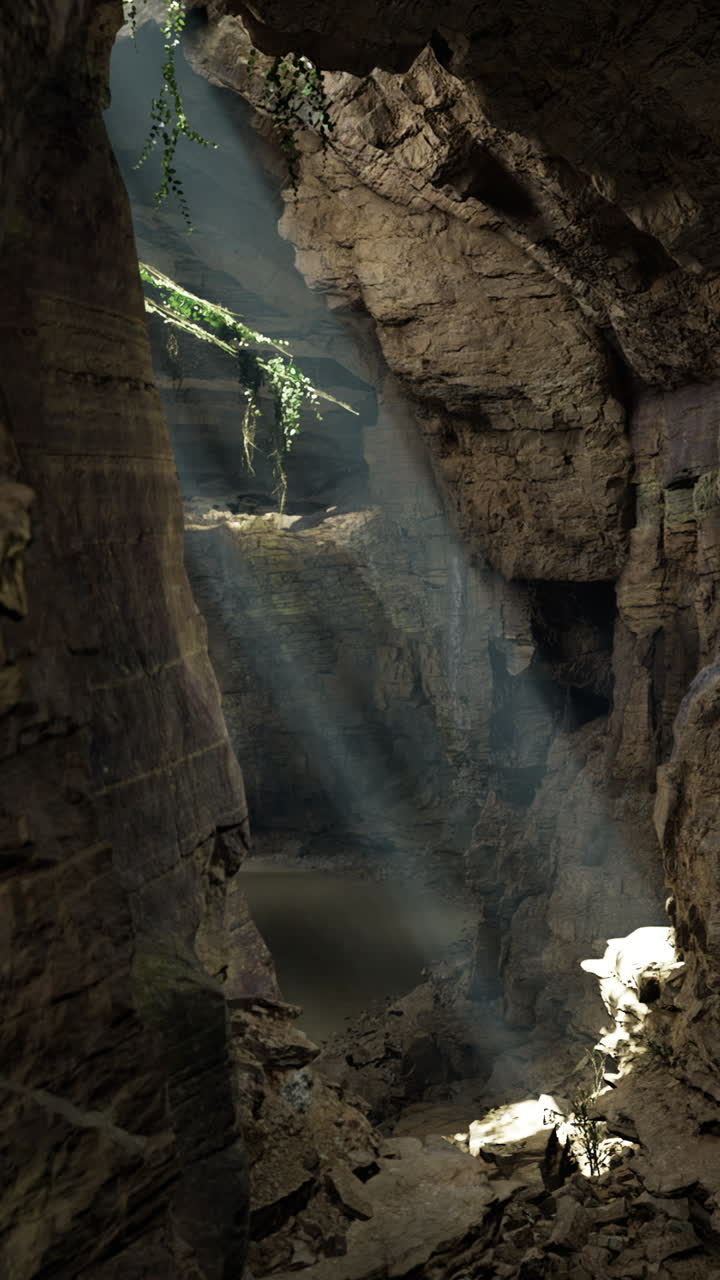 La luce del sole filtra attraverso l'apertura di una grotta.