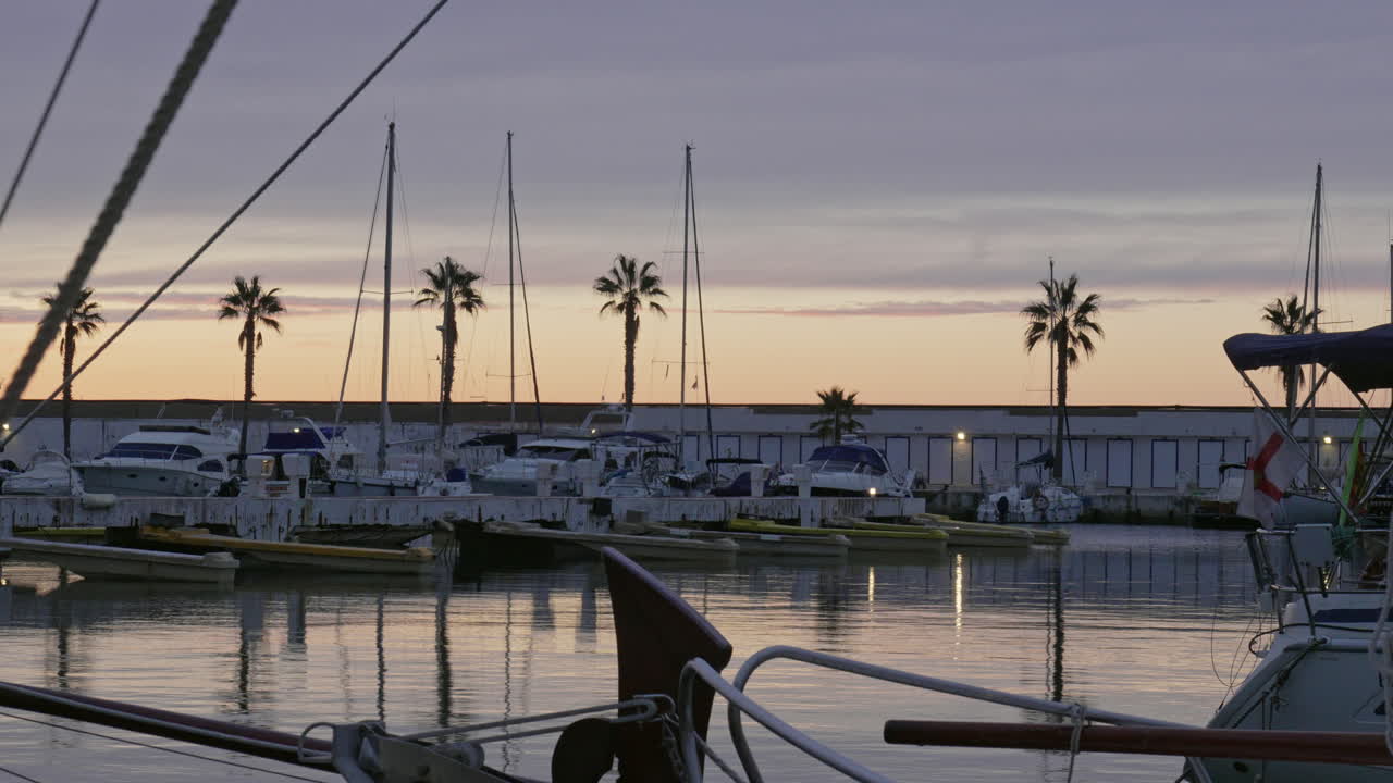 Static view docked sailboats at harbor port with palms, during sunset gray sky