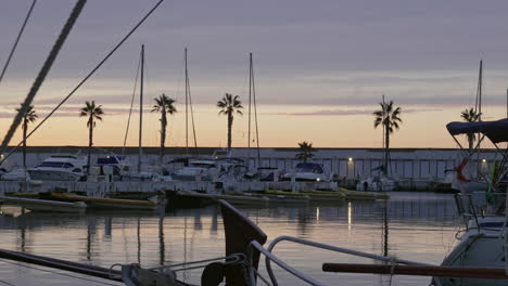 static view docked sailboats at harbor port with palms, during sunset gray sky