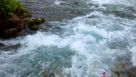 Agua-Del-Río-De-Montaña-Con-Primer-Plano-En-Cámara-Lenta