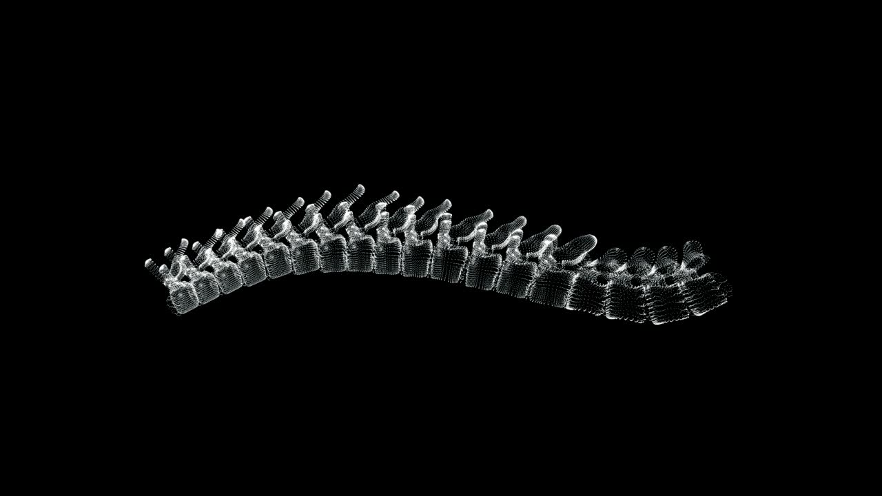 pantalla holográfica 3d de la columna vertebral en el cuerpo humano - bucle