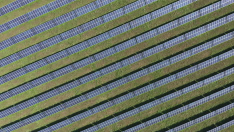 Bird's-Eye-View-Of-Solar-Panels-In-The-Green-Field---drone-orbit