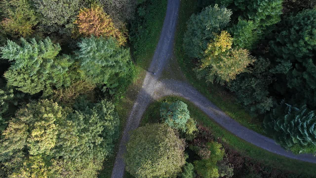 Bovenaanzicht van wandelaar die loopt op een joggingpad in het stadsbos van Rapperswil-Jona in het noordoosten van Zwitserland