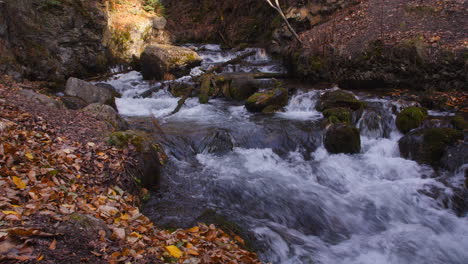 Herbstfarbene-Blätter-Fallen-Am-Rande-Des-Fließenden-Wassers-Des-Mchugh-Creek-Im-Chugach-State-Park-In-Alaska