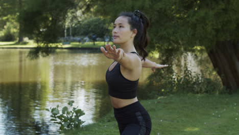 Junge-Frau,-Die-Kriegerpose-Im-Schönen-Grünen-Park-Tut