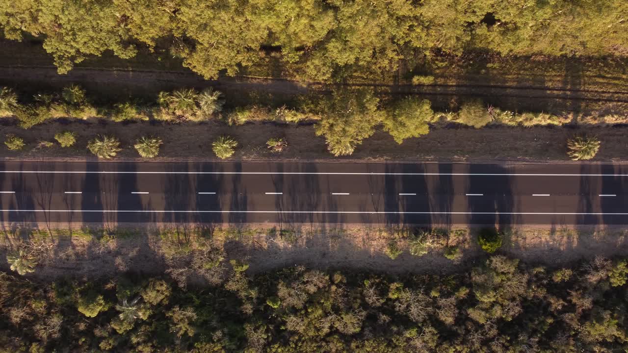 해가 지는 동안 황금색 나무가 있는 시골 지역의 아스팔트 도로에서 운전하는 자동차의 공중 상단 아래로