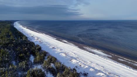vista aérea de una playa aislada con nieve cubriendo la arena, agua oscura y tranquila del océano, y una línea de árboles que bordean la playa en la distancia, toma de panorámica de órbita
