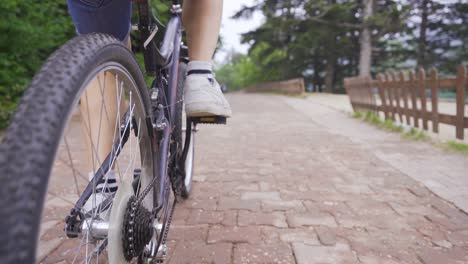 a cyclist rides along the forest road.