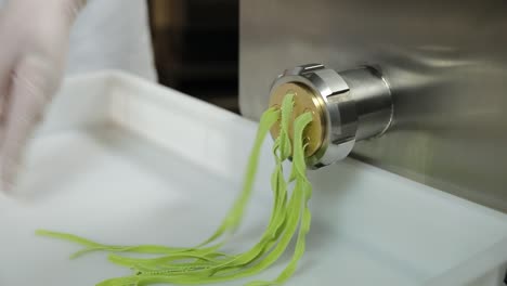 making fresh green pasta with a pasta machine