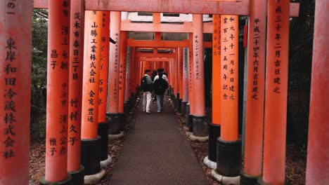 una pasarela alineada con las tradicionales puertas torii japonesas.