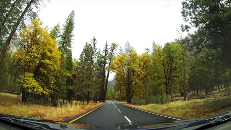 An-Einem-Regnerischen-Herbsttag-Durch-Den-Wald-Fahren