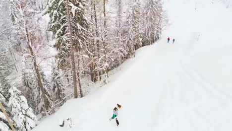 esquiador y snowboarder haciendo deportes de invierno con perros en una pista de esquí durante el invierno blanco en eslovenia