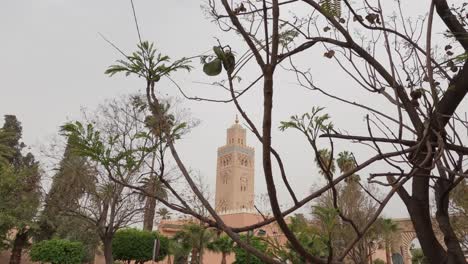 looking up at koutoubia mosque tower through bare tree branches blowing in the breeze