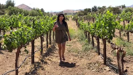 Beautiful-woman-in-dress-walking-through-winery-vineyard,-summer-wine-tasting