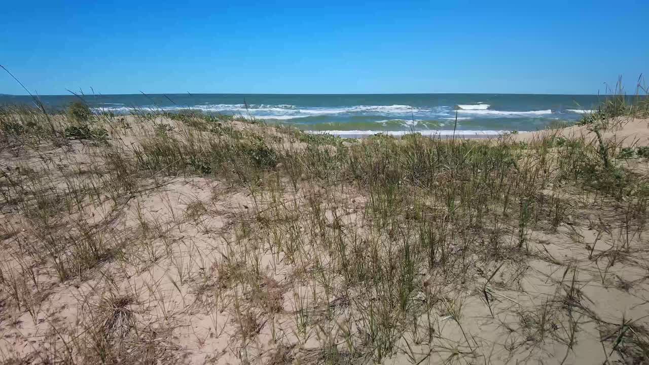 풀이 있는 모래 언덕 뒤에 해가 비치는 날씨