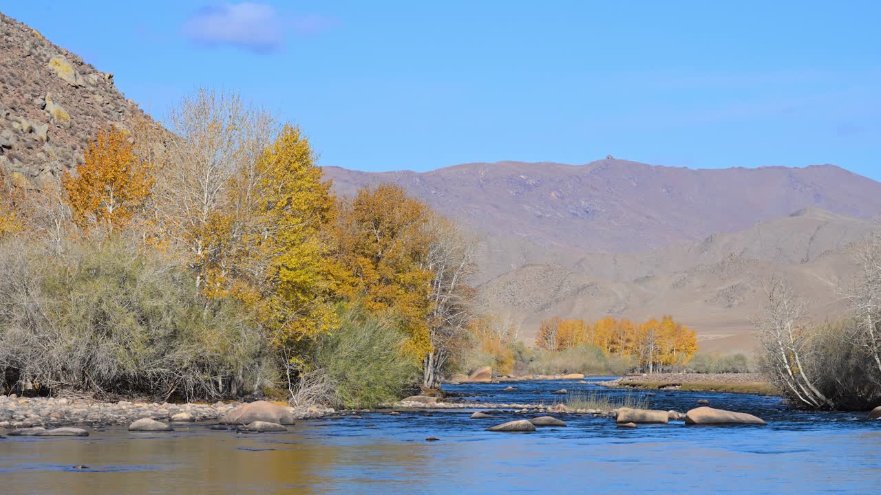 Experience the unspoiled beauty of rural Mongolia. A wide river winds through a serene valley in autumn, showcasing a remote and picturesque Central Asian landscape
