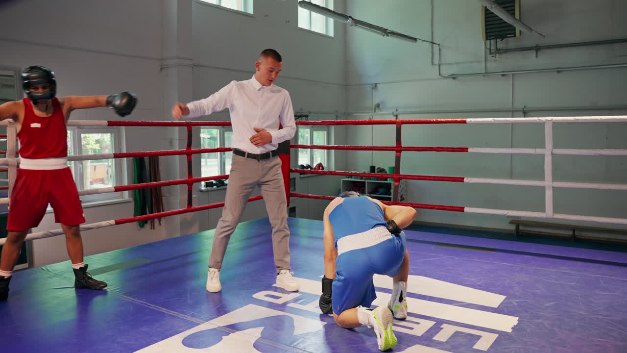 Boksekamp med dommer i ringen