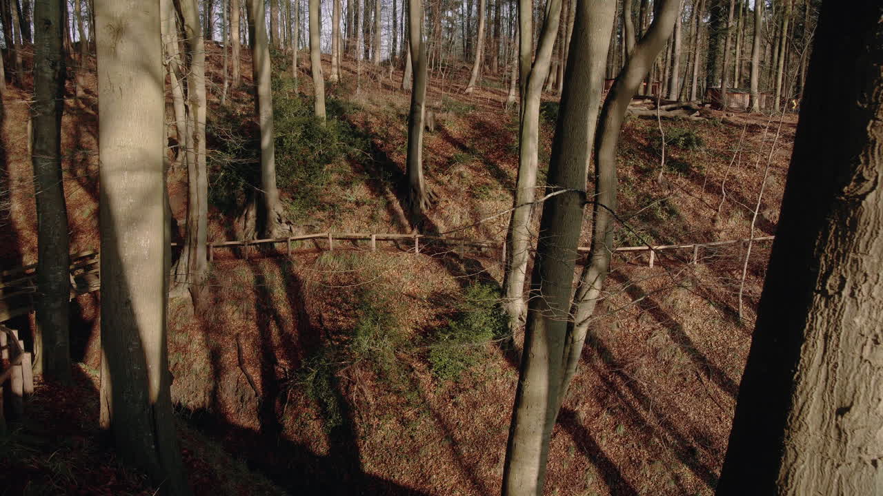 겨울 늦가을에 낙엽수 숲에서 협곡 밖으로 돌리