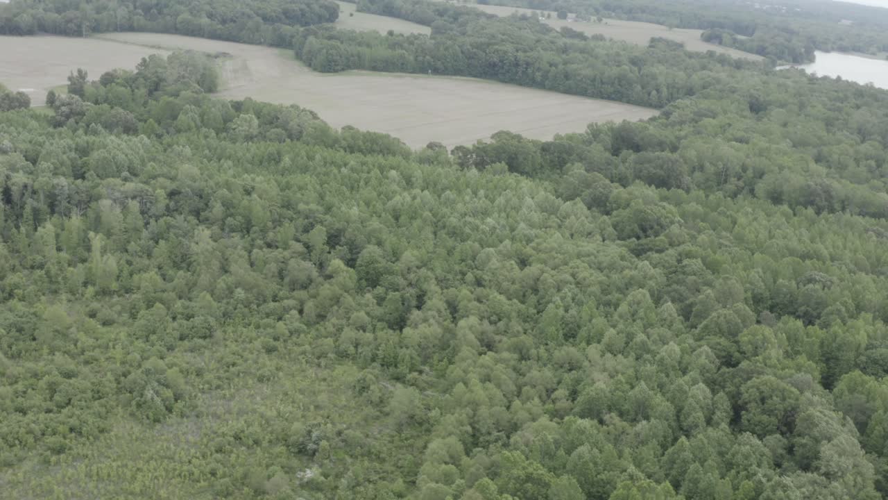 A Smooth Drone shot of beautiful timber.