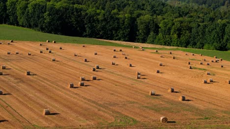 Naturaleza-En-Los-Campos-De-Dolny-Slask-Polonia