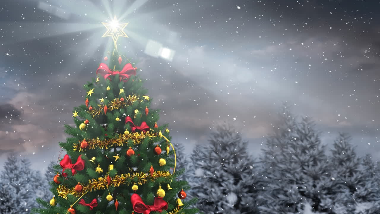 겨울 풍경에 크리스마스 트리와 여러 개의 눈으로  ⁇ 인 나무에 눈이 내리고 있습니다.