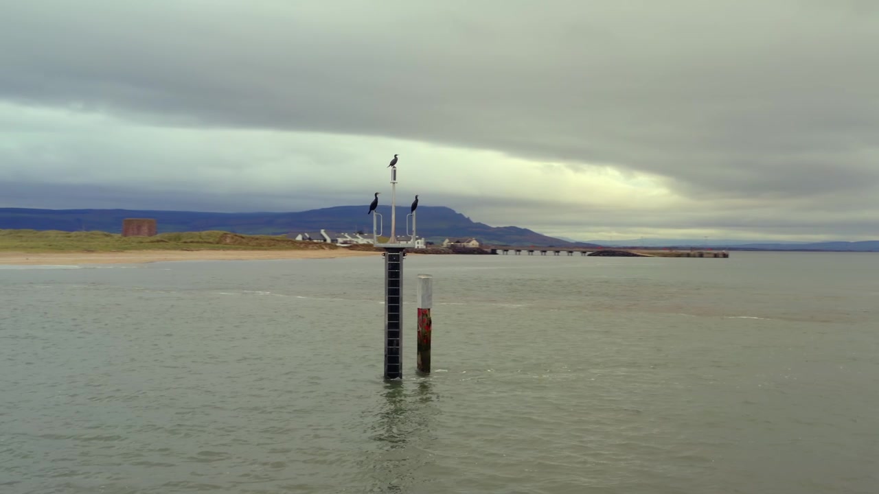 Mellem dronekredsløb omkring topskarver, der sidder på en havstruktur nær Martello Tårnet, Magilligan Point, Irland.