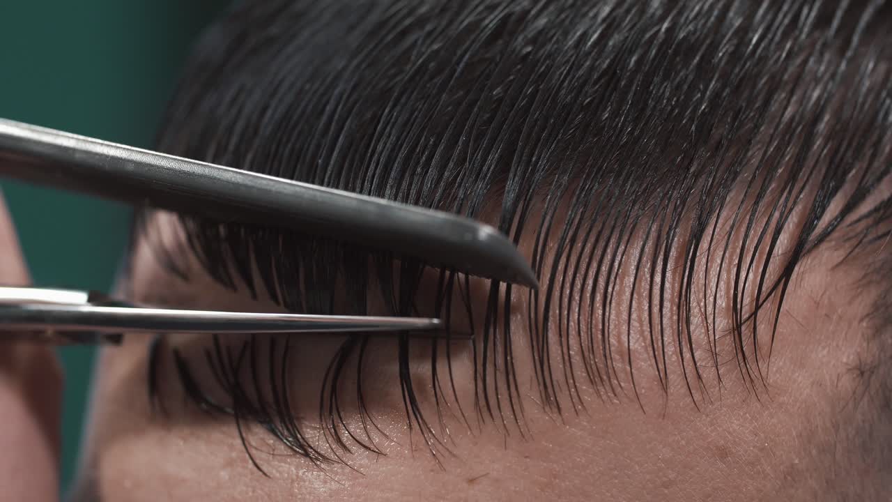 Professional Haircut: Grooming Wet Hair