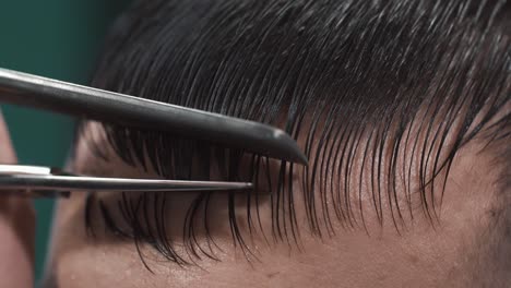 professional haircut: grooming wet hair