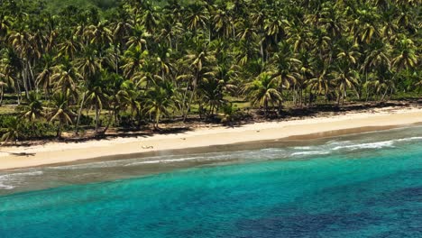 Aerial-tour-over-Caribbean-beach-with-turquoise-waters-and-palm-trees-in-Samana-bay,-Dominican-Republic