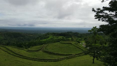 Vista-Aérea-Moviéndose-Hacia-Adelante,-Sobre-Los-árboles-De-La-Selva-Tropical-De-La-Tigra-En-Costa-Rica-Revela-Una-Vista-Panorámica-Del-Paisaje,-Cielo-Nublado-En-El-Fondo