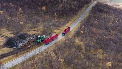 la cosechadora de madera recoge y procesa los árboles caídos y carga el camión con mantillo