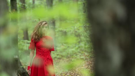 beautiful woman walking through green forest. beautiful woman in red long dress walking through green forest
