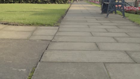 pathway in park with benches and flowers