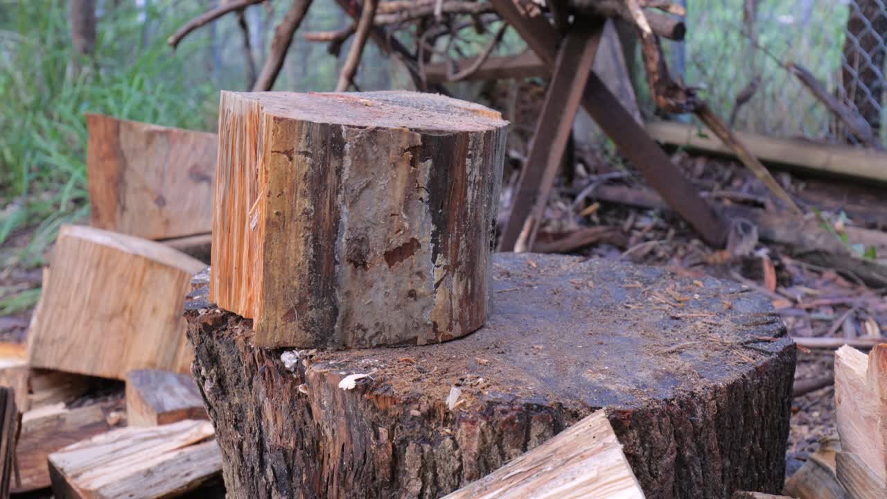 primer plano de ángulo bajo de un hermoso tronco de textura naranja que se corta para combustible de invierno - madera dividida y matorrales de naturaleza rural detrás - 4k
