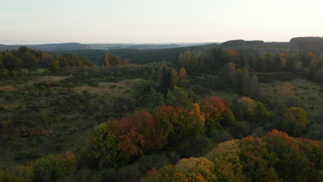 Schöner-Herbstwald-Des-Fagne-Du-Rouge-Poncé-In-Belgien---Luft