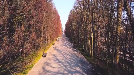 Drone-flying-forward-in-the-park-alley