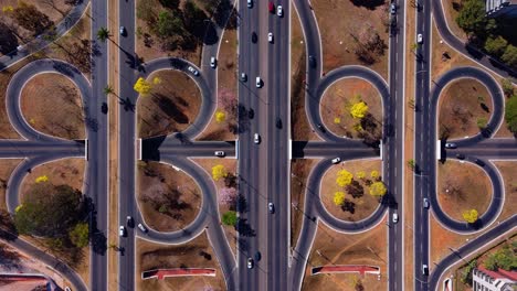 aerial view of yellow ipe trees in the streets of brasilia - brazil