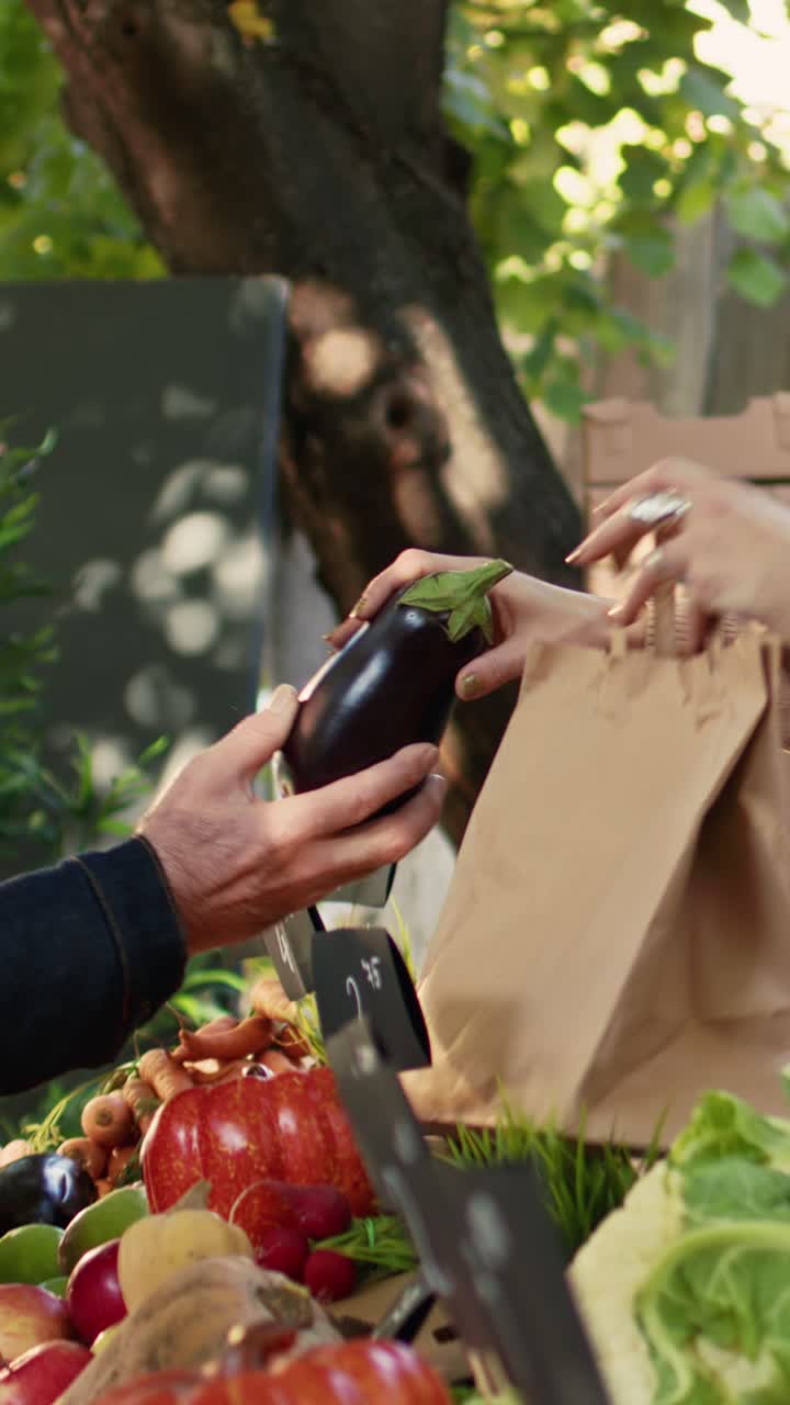 Vídeo vertical: joven dependienta mostrando productos ecológicos saludables
