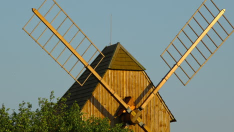 view of a wooden historic mill and its blades standing among the apple trees