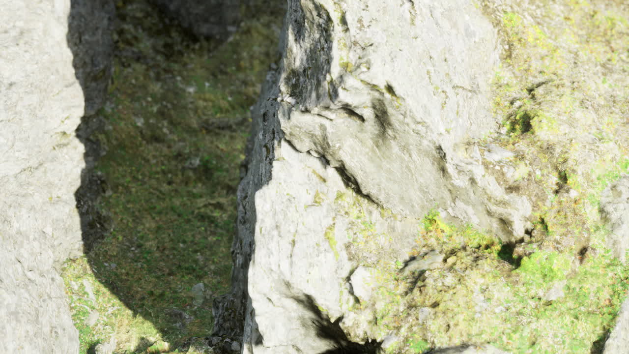 Rocky fissure revealing natures intricate patterns in the wilderness