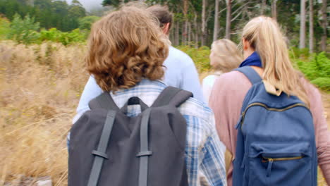 Family-walking-in-the-countryside,-back-view