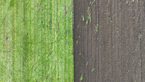 Farming-Fields-Patterns,-Top-Down-Aerial-View-of-Green-Meadow-and-Plowed-Land,-High-Angle-Drone-Shot