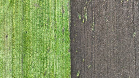 farming fields patterns, top down aerial view of green meadow and plowed land, high angle drone shot