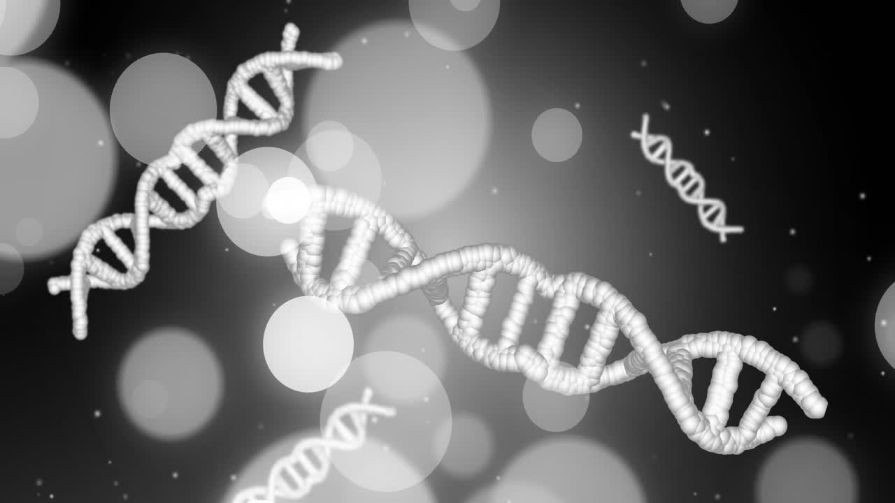 Fili di DNA e luci bokeh, animazione di elaborazione dati scientifici.
