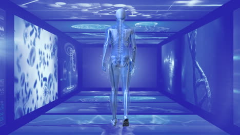 back view of 3d man walking hallway of scientist screen