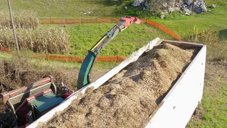 trabajador adulto encima de astillas de madera dentro del camión