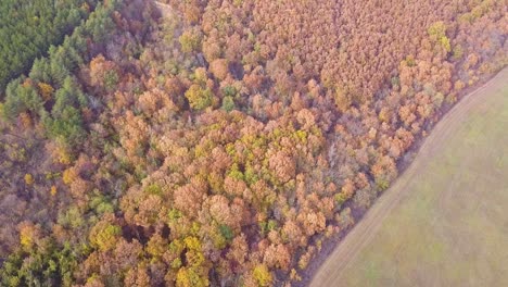 Aerial-drone-shot-part-2-of-a-forest-on-a-hill-in-a-rural-area-in-Hungary