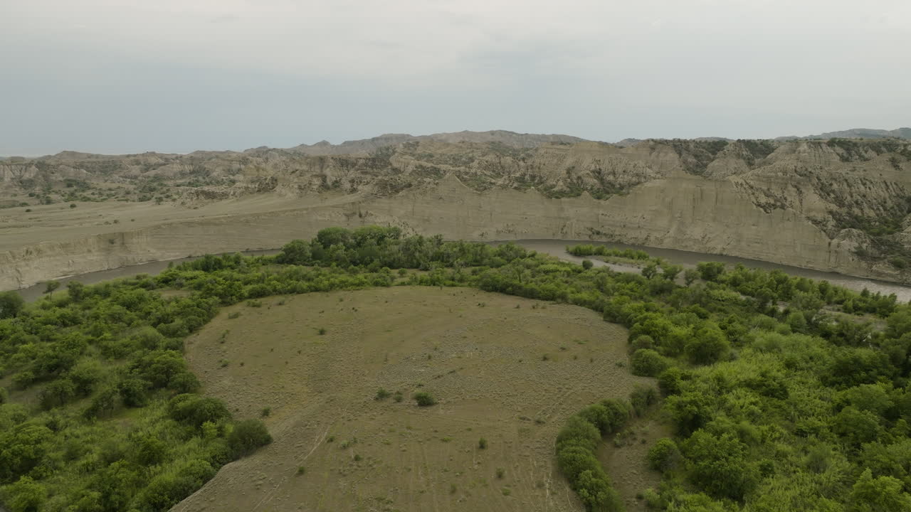 меандровый изгиб реки алазани вокруг древесной рощи и равнины, грузия