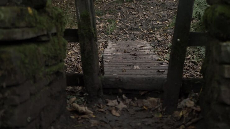 Muddy wooden stile and pathway in countryside woodland zoom in shot