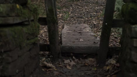 estilo de madera fangosa y camino en el campo bosque zoom en el disparo